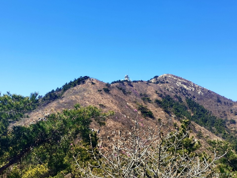 IMG_20220416_102700_edit_99287884109848