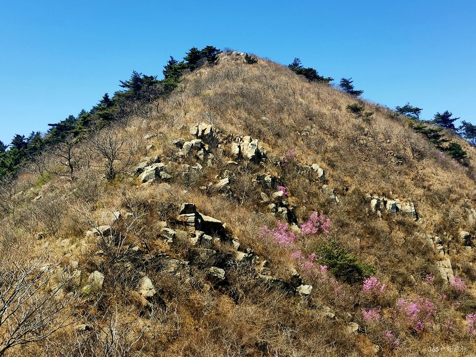 IMG_20220416_103420_edit_99277321524433