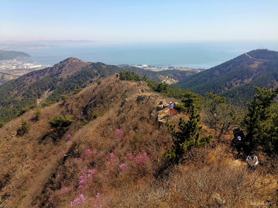 IMG_20220416_104646_edit_99267581833289