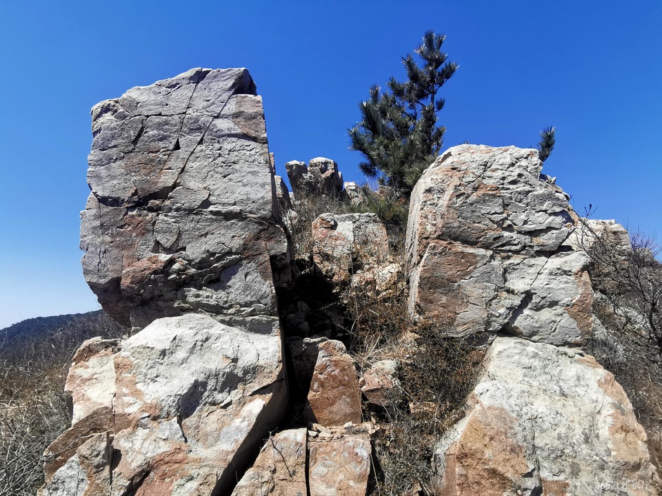 IMG_20220416_104956_edit_99257953852561