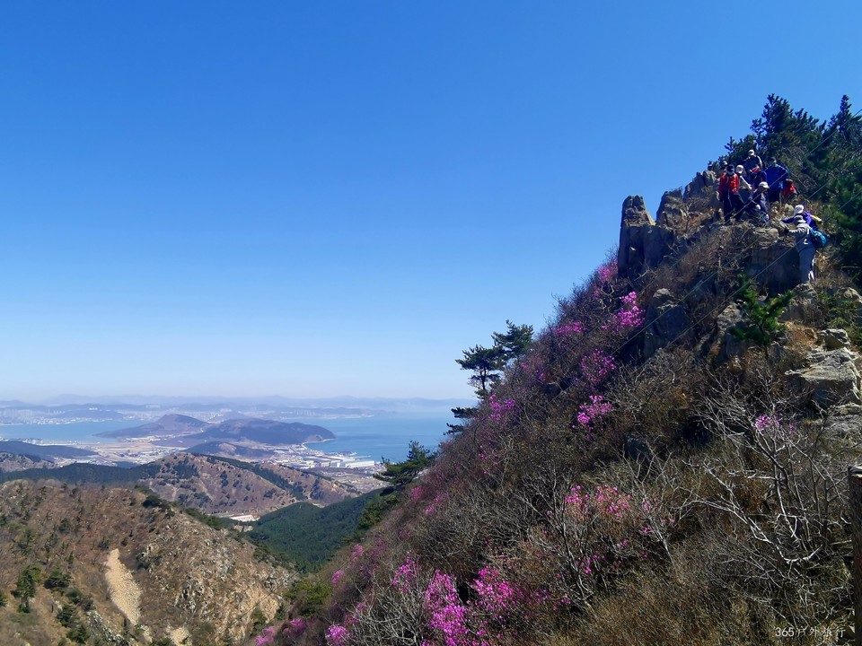 IMG_20220416_110812_edit_99218232354651