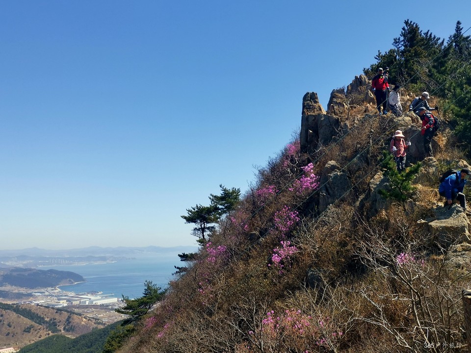 IMG_20220416_110950_edit_99207861223923