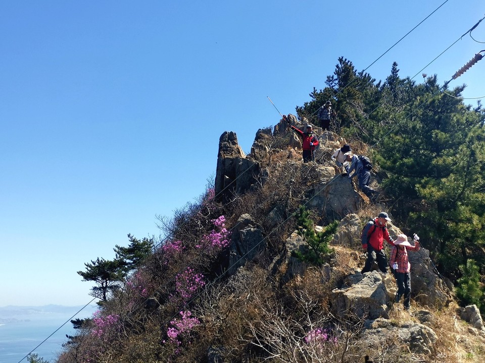 IMG_20220416_111008_edit_99190494111947