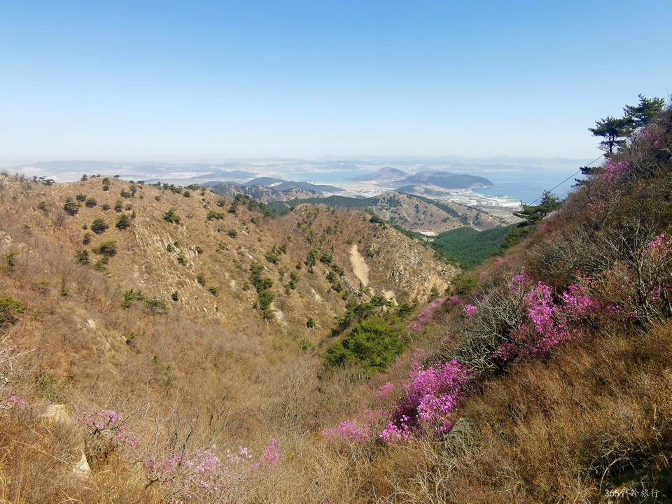 IMG_20220416_111046_edit_99171038726533