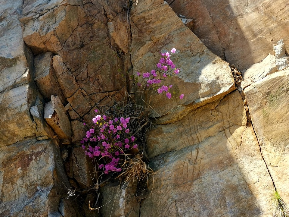 IMG_20220416_112503_edit_99102490010918