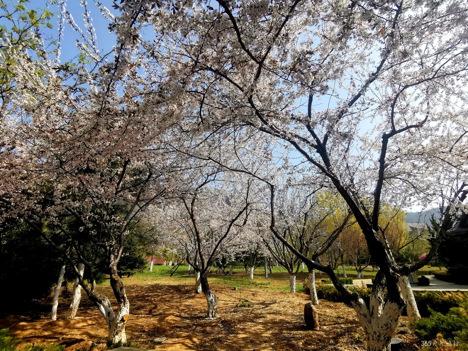 IMG_20220420_084023_edit_68260952306249