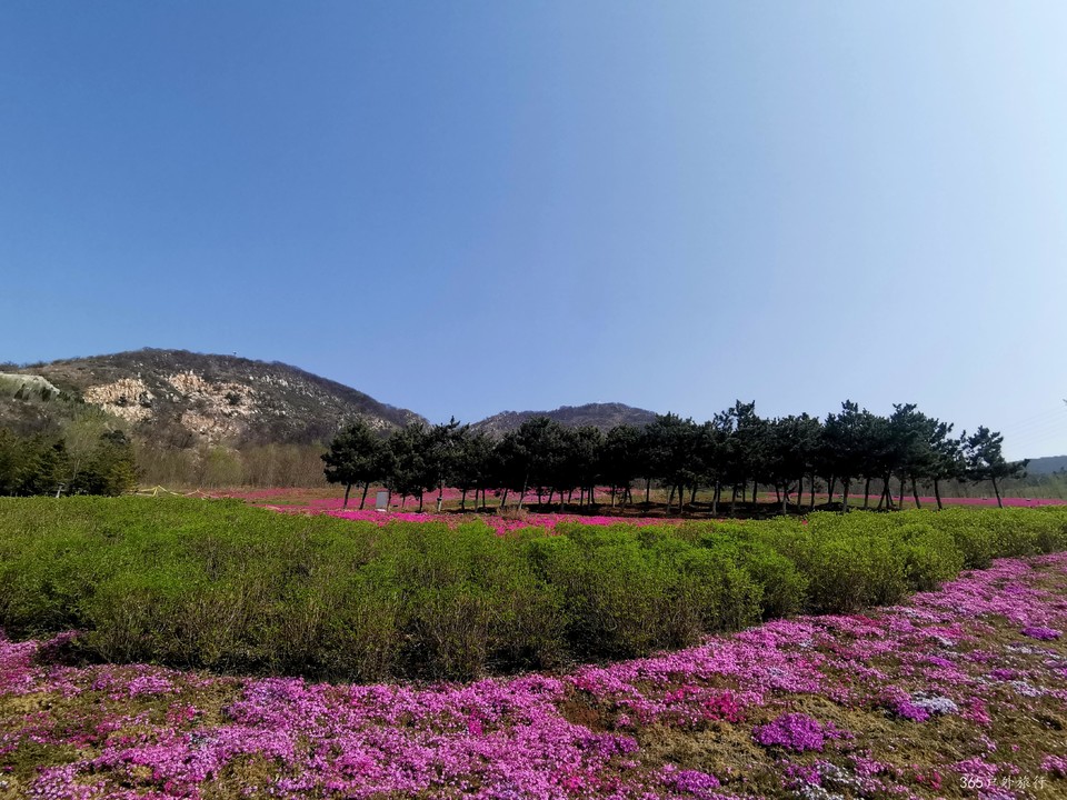 IMG_20220420_084248_edit_68241999922398