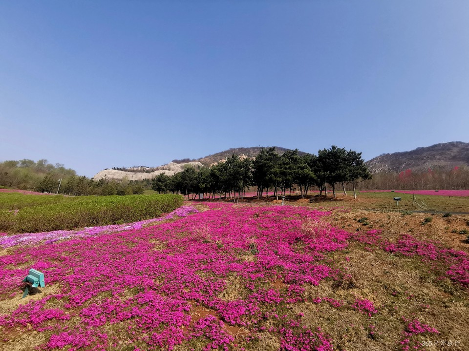 IMG_20220420_084320_edit_68227474685421