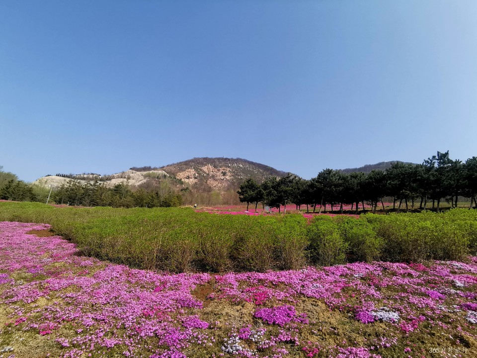 IMG_20220420_084353_edit_68220324885422