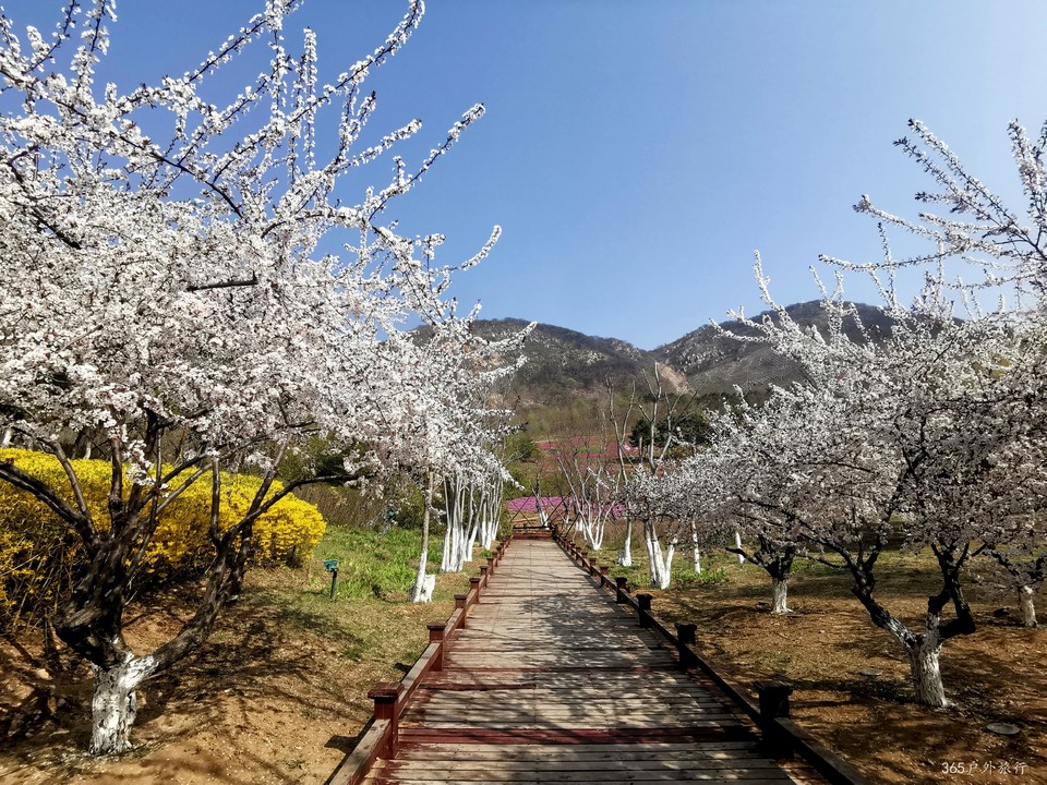 IMG_20220420_084533_edit_68212150817194