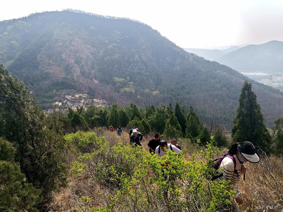 IMG_20220420_092702_edit_68205105692716