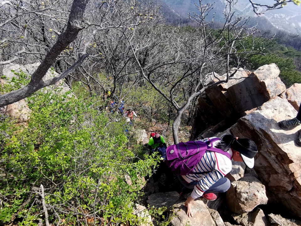 IMG_20220420_095254_edit_68178077574491