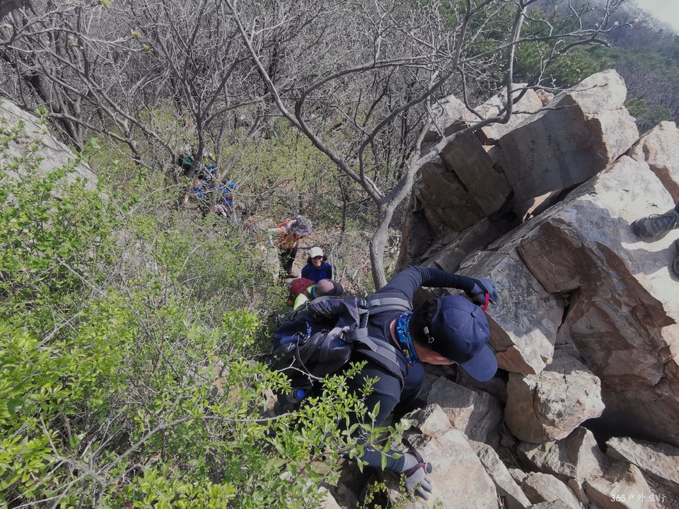 IMG_20220420_095305_edit_68165241919285