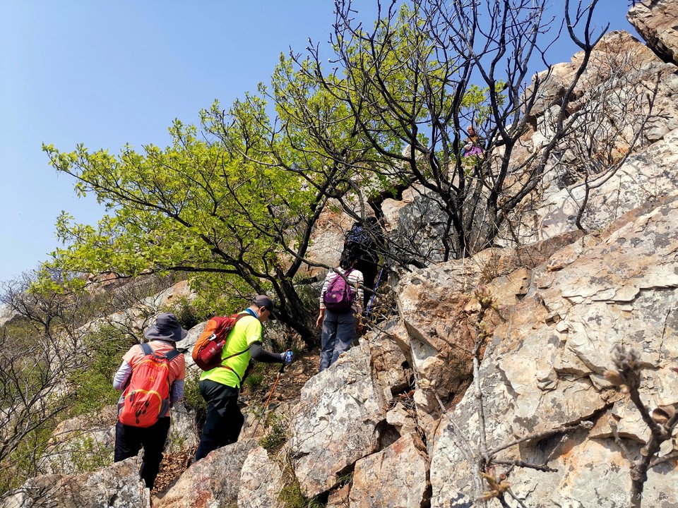 IMG_20220420_095400_edit_68150133652100