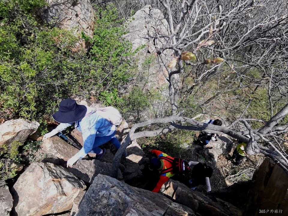 IMG_20220420_095537_edit_68132887641685