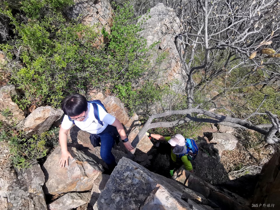 IMG_20220420_095621_edit_68116038202105