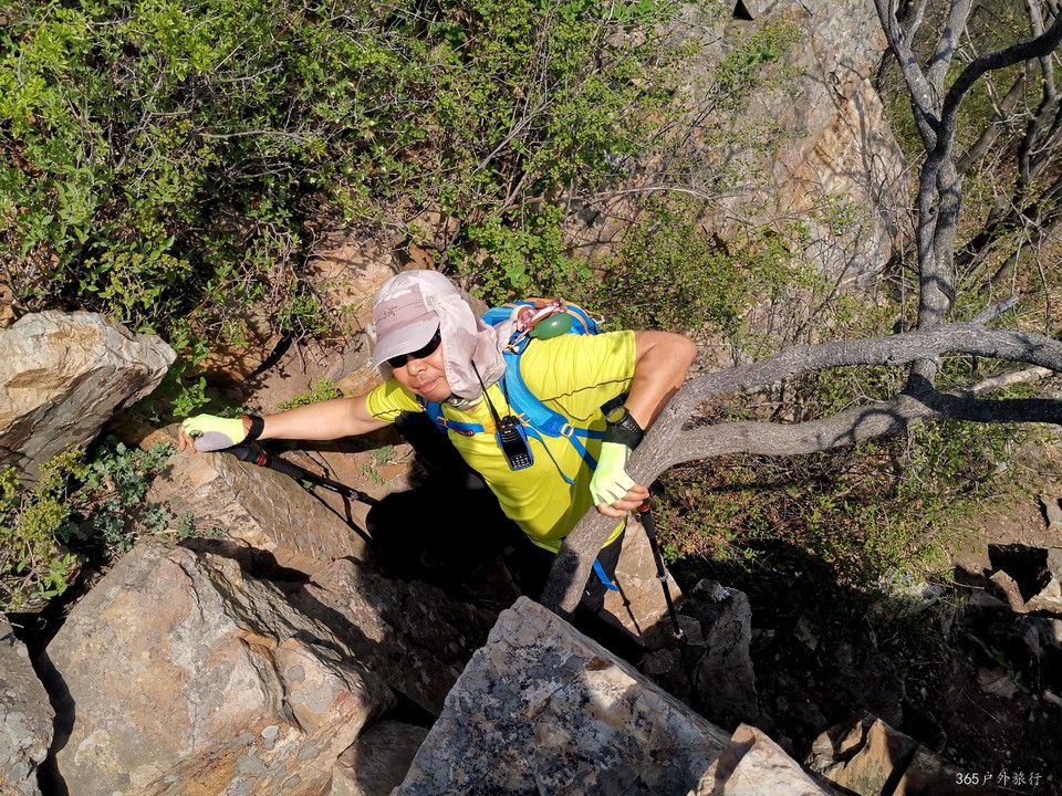 IMG_20220420_095628_edit_68107539502627