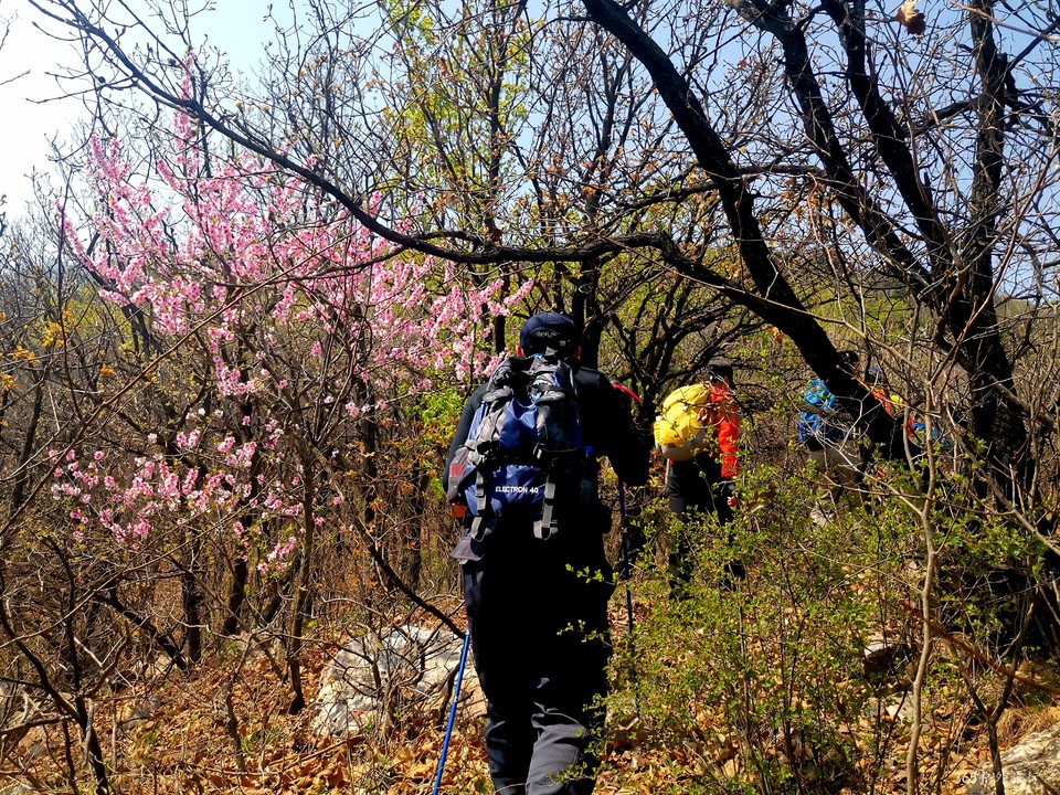 IMG_20220420_103905_edit_67983466688583