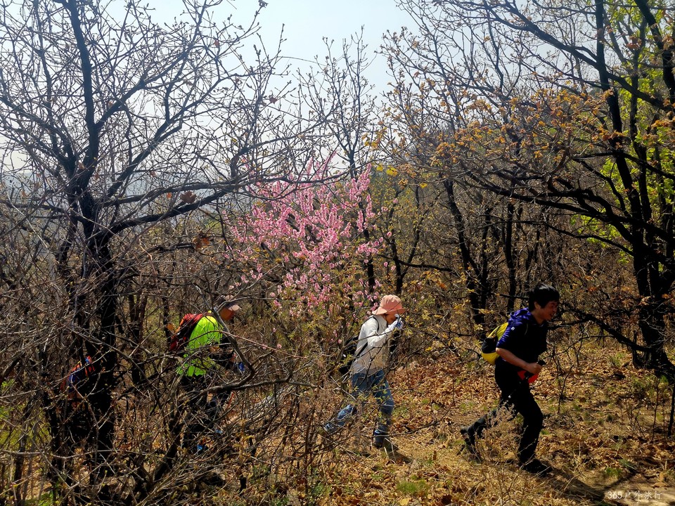 IMG_20220420_104013_edit_67973246716710