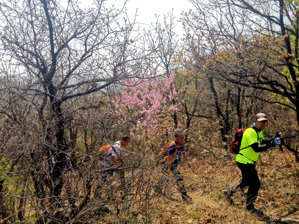 IMG_20220420_104016_edit_67962913094836