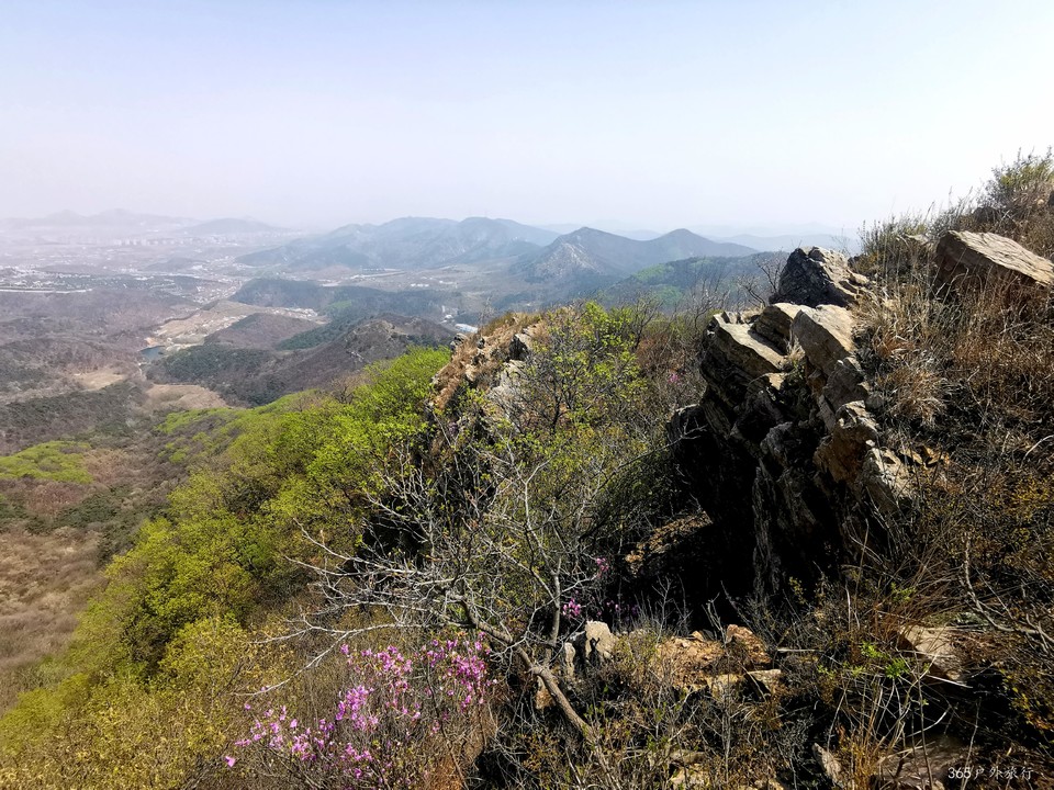 IMG_20220420_115848_edit_67913200659427