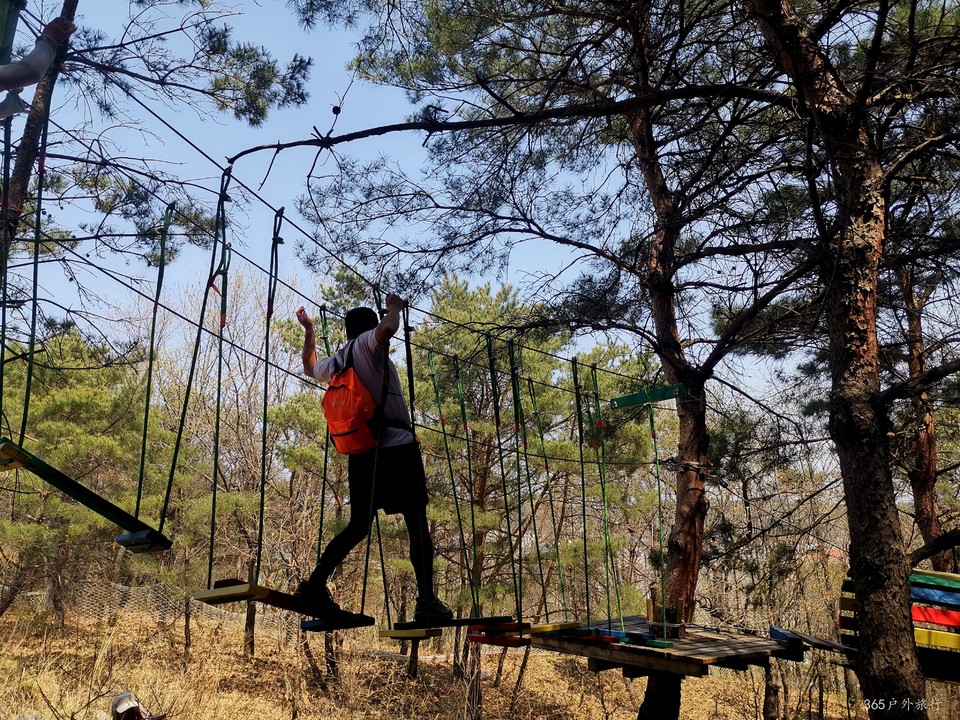 IMG_20220420_123539_edit_67904043397970