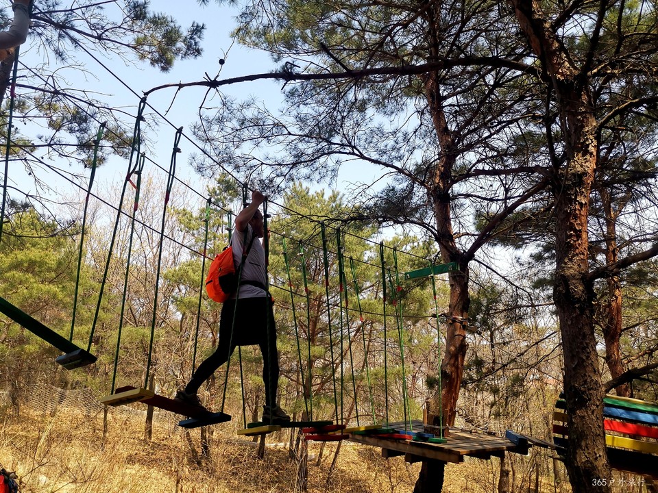 IMG_20220420_123541_edit_67895373787034