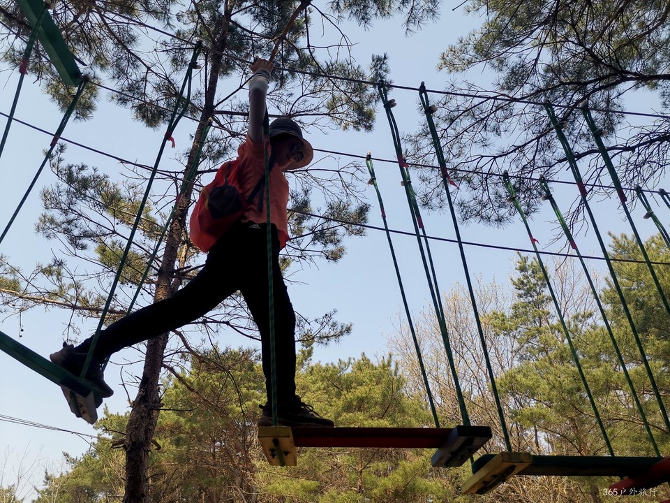 IMG_20220420_123712_edit_67879194981308