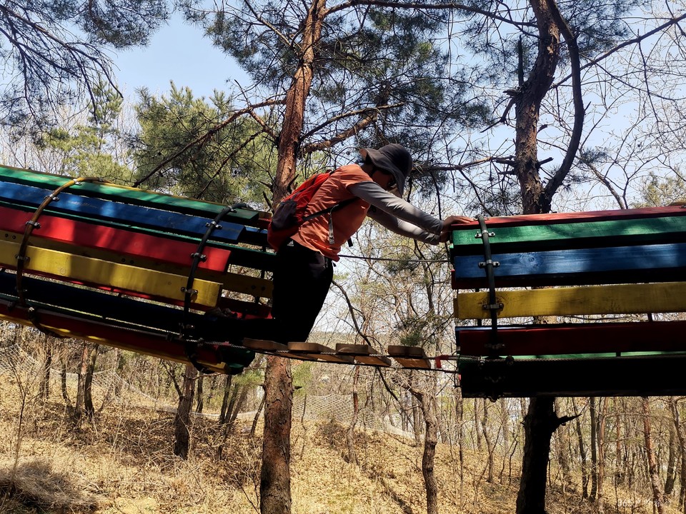 IMG_20220420_123917_edit_67871307858913