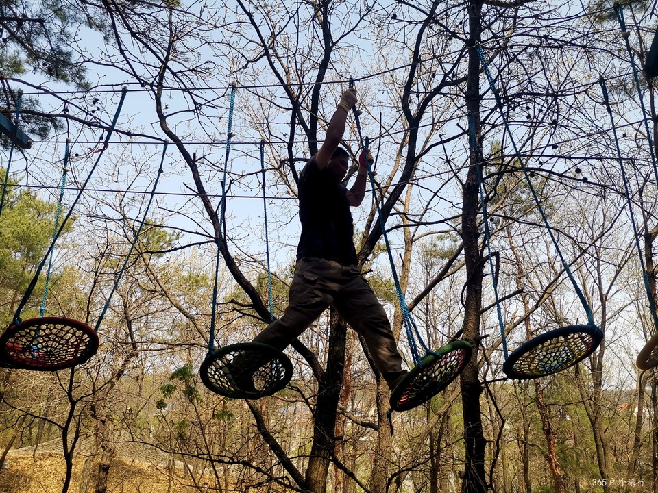 IMG_20220420_124151_edit_67864863045893