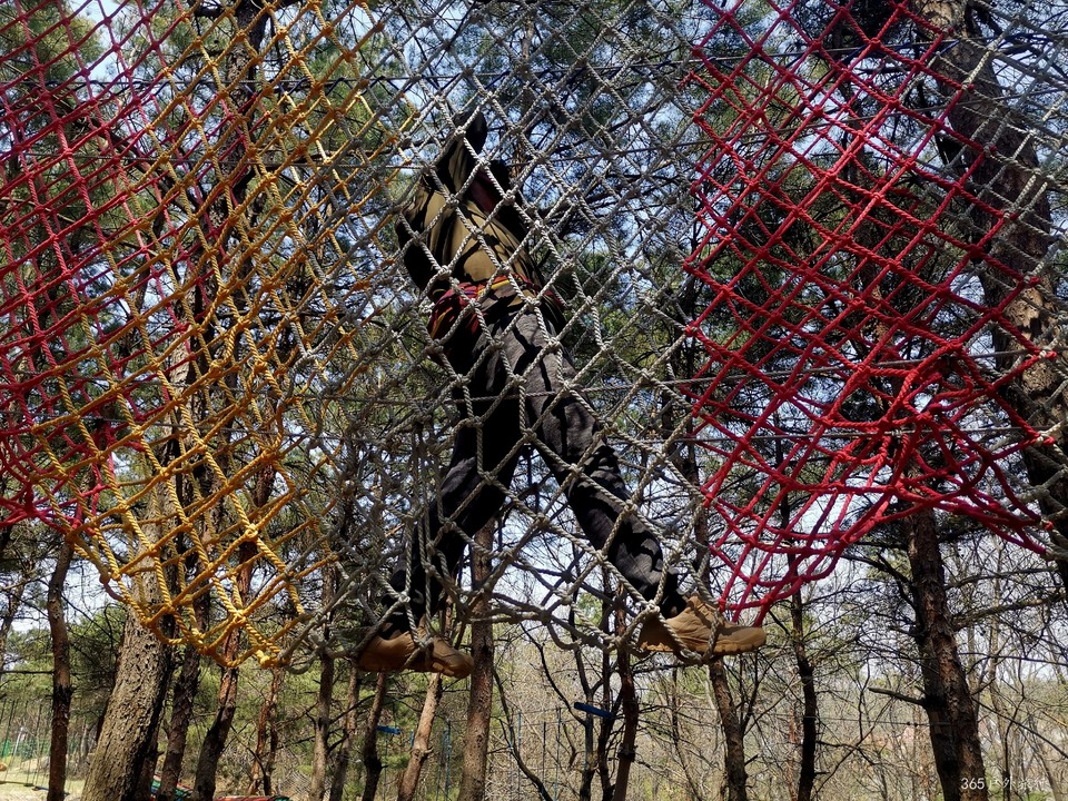 IMG_20220420_124227_edit_67857774758915