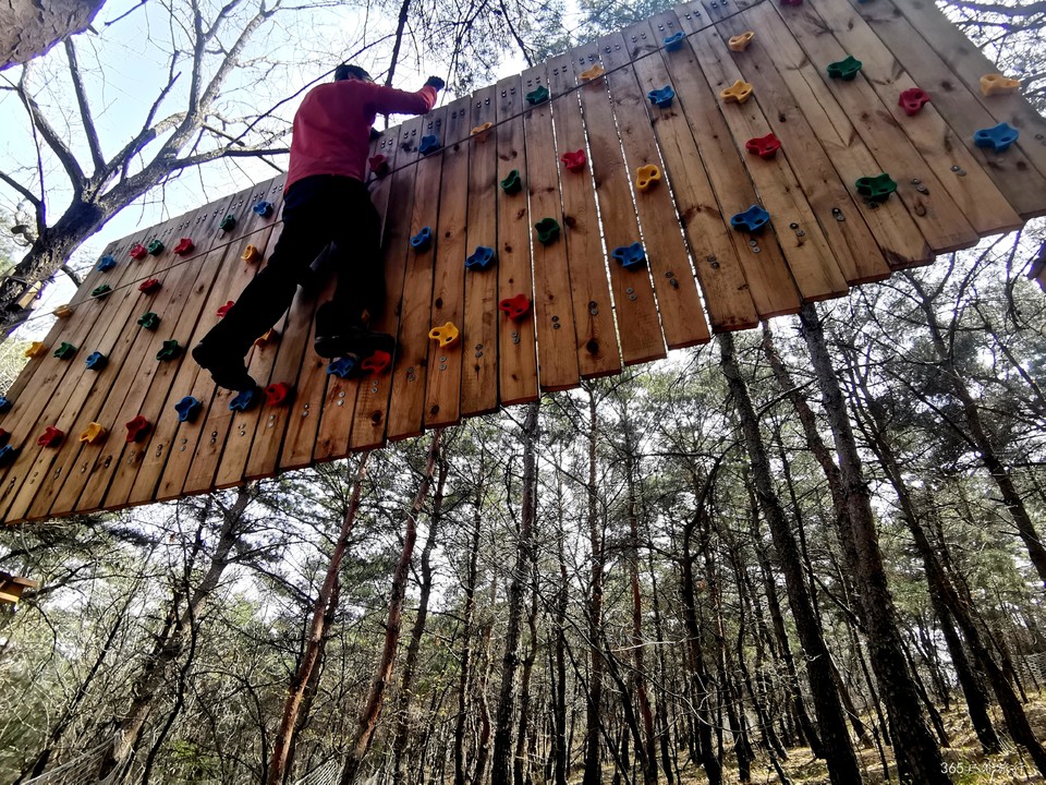 IMG_20220420_124927_edit_67842138721938