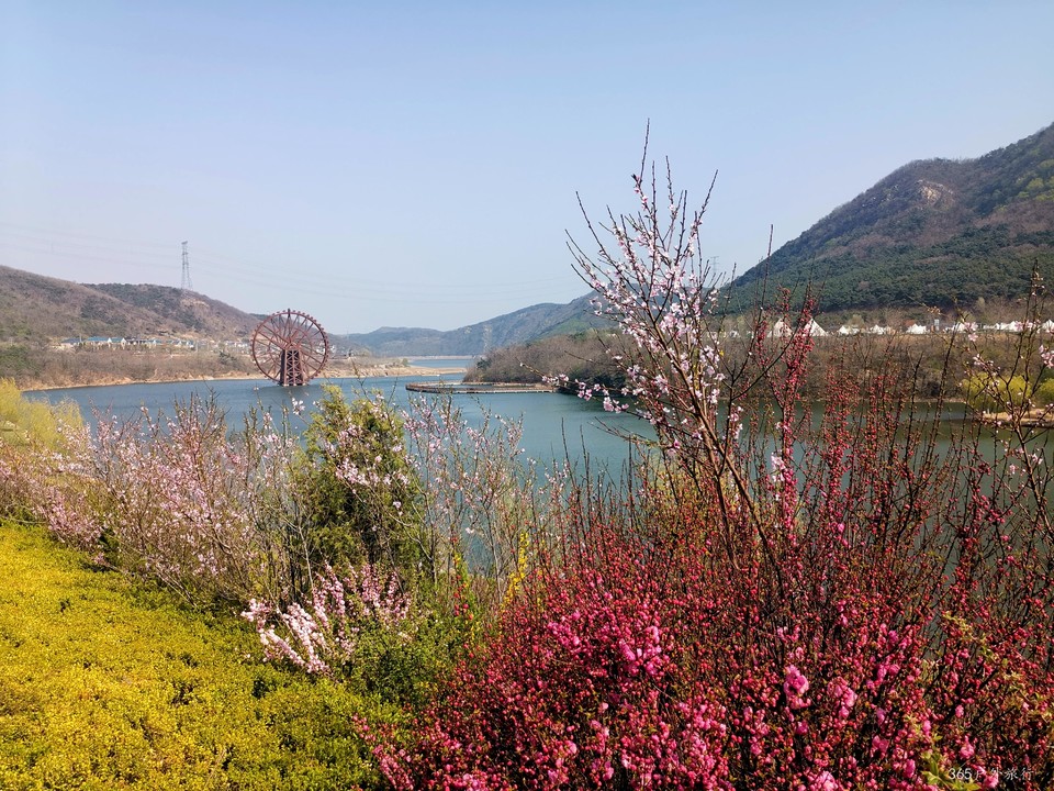 IMG_20220420_143555_edit_67805827745902