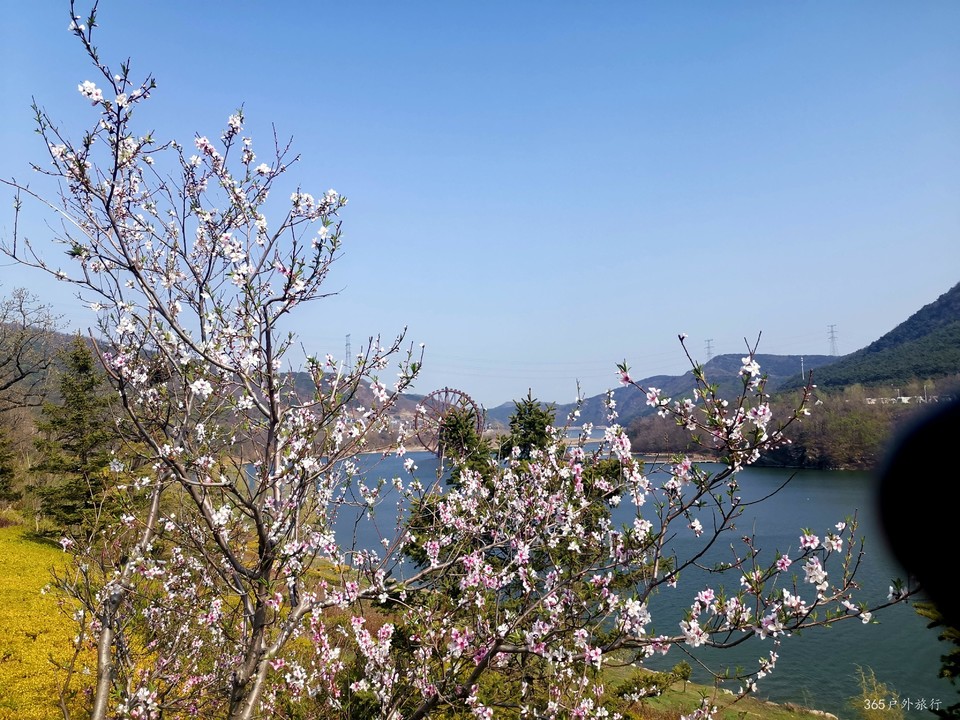 IMG_20220420_143650_edit_67797369696945