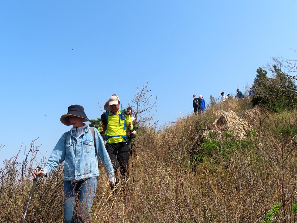 20220420093551_IMG_3497_edit_67193310647558