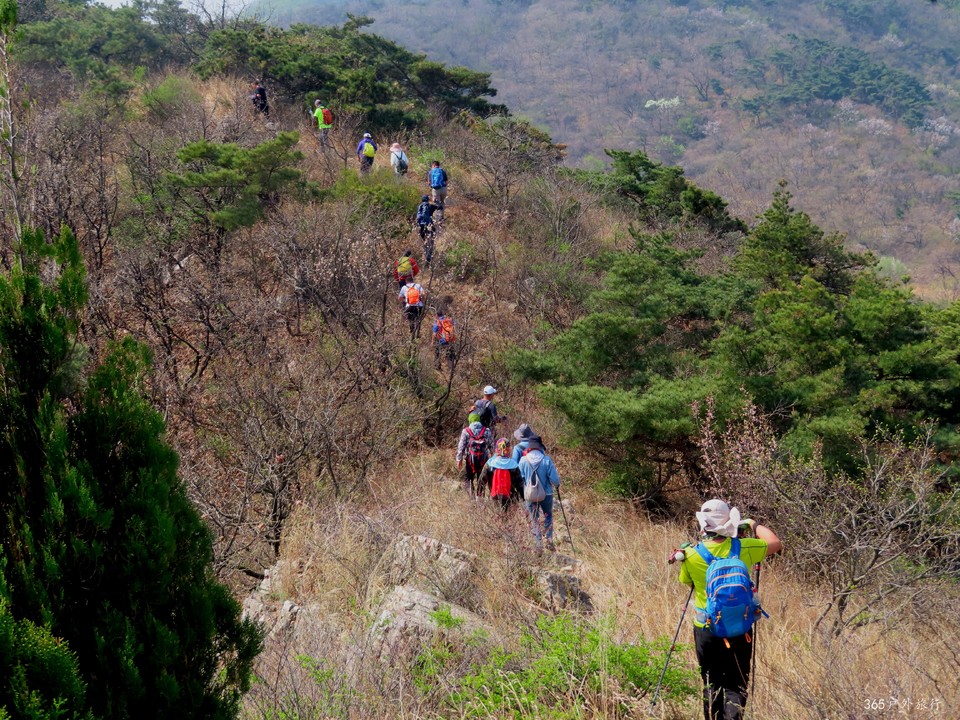 20220420093646_IMG_3499_edit_67236670618906