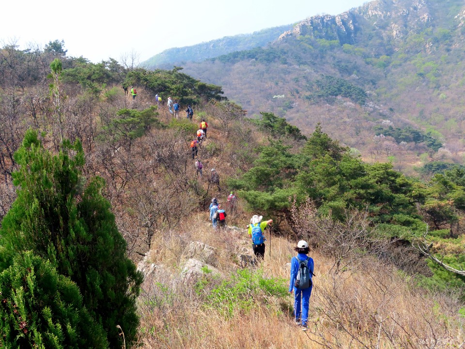 20220420093651_IMG_3500_edit_67225024090782