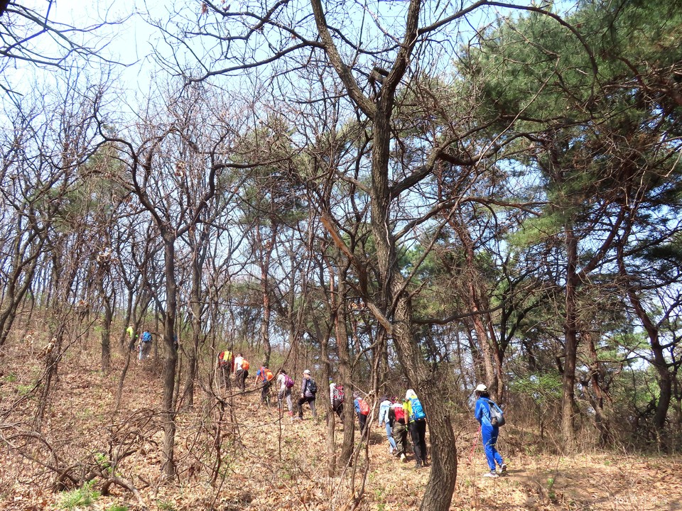 20220420094156_IMG_3501_edit_67214514856930