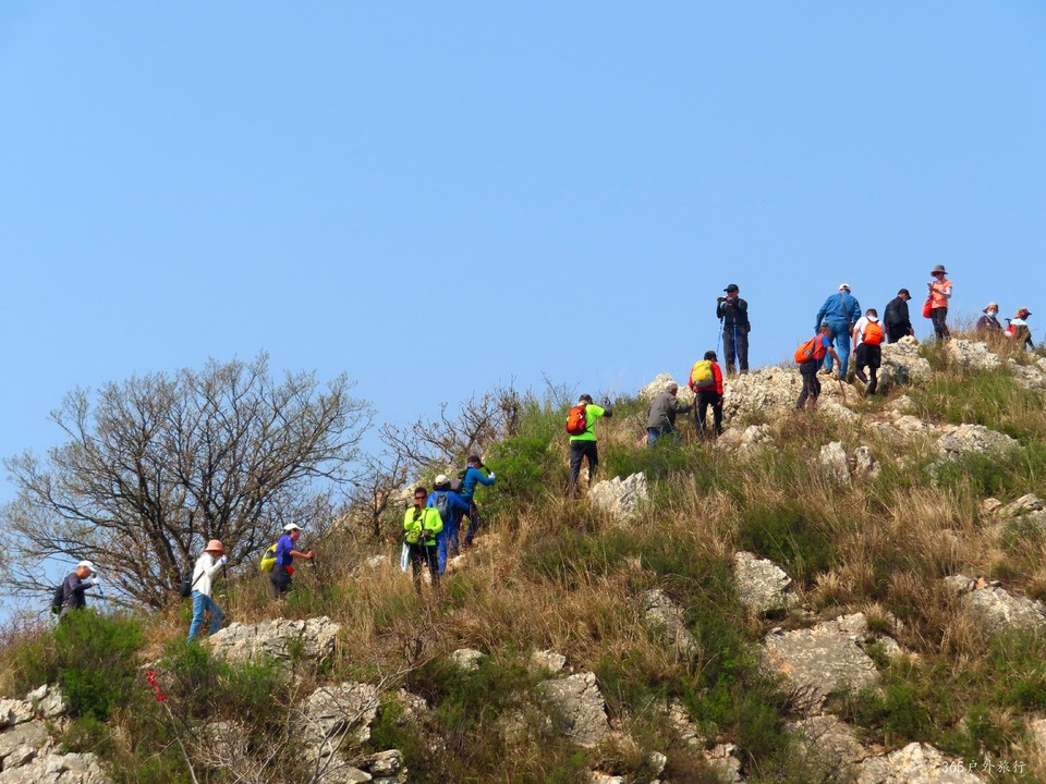 20220420100205_IMG_3513_edit_67407352789192