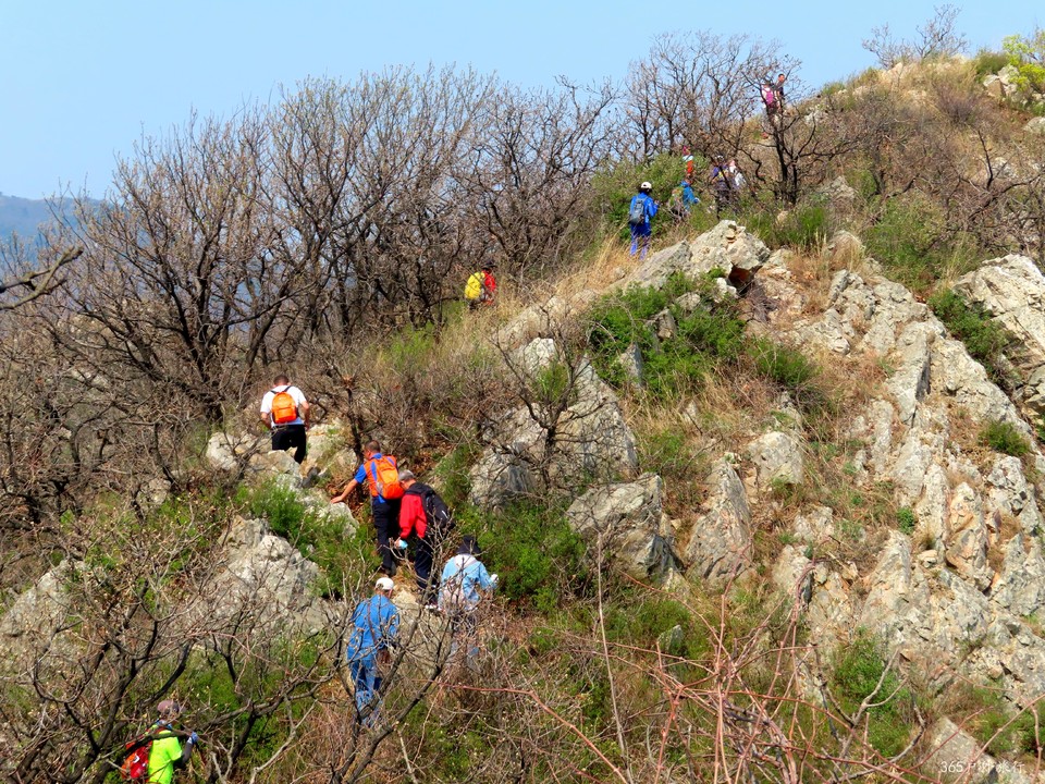 20220420101403_IMG_3515_edit_67430186822522