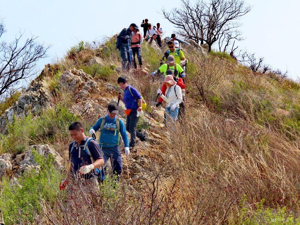 20220420101809_IMG_3517_edit_67508778069906