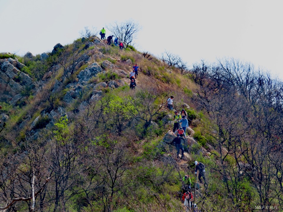 20220420101957_IMG_3519_edit_67496480213658