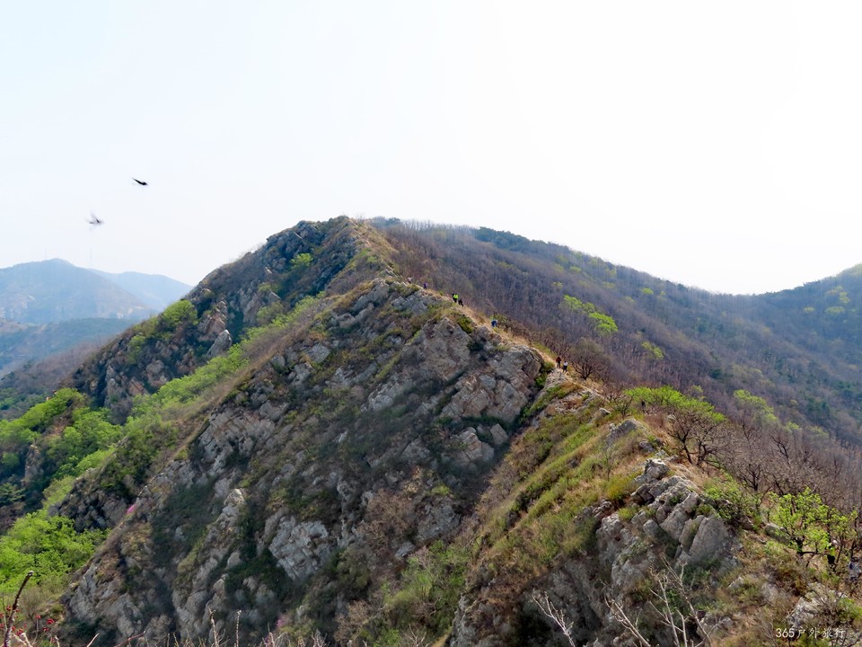 20220420102412_IMG_3521_edit_67522266494904