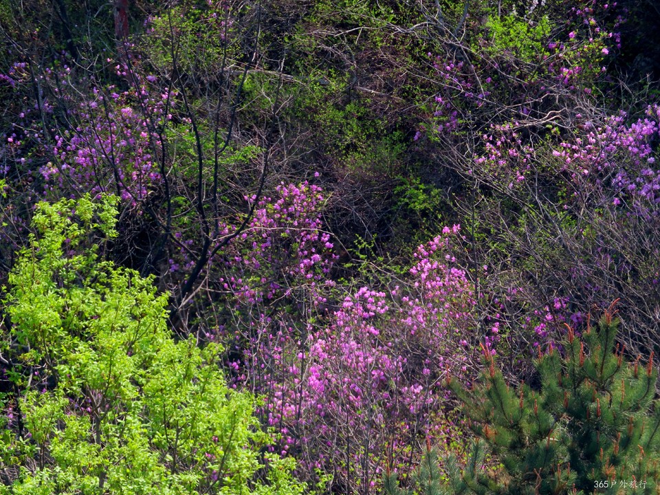 20220420110449_IMG_3525_edit_67566975202188