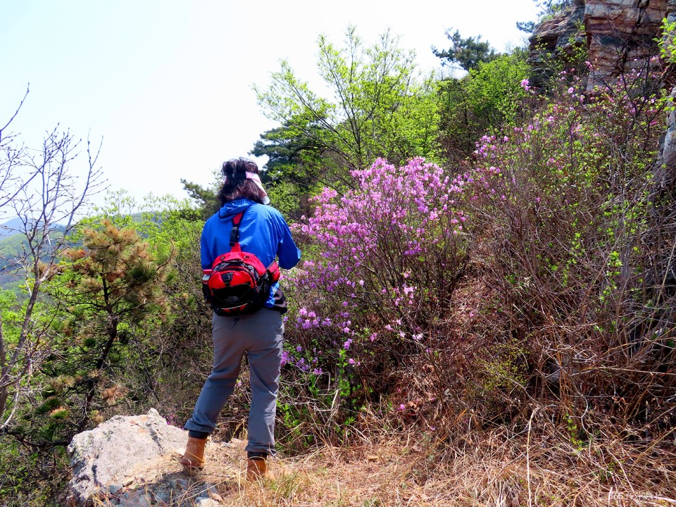 20220420112256_IMG_3526_edit_67556840118336