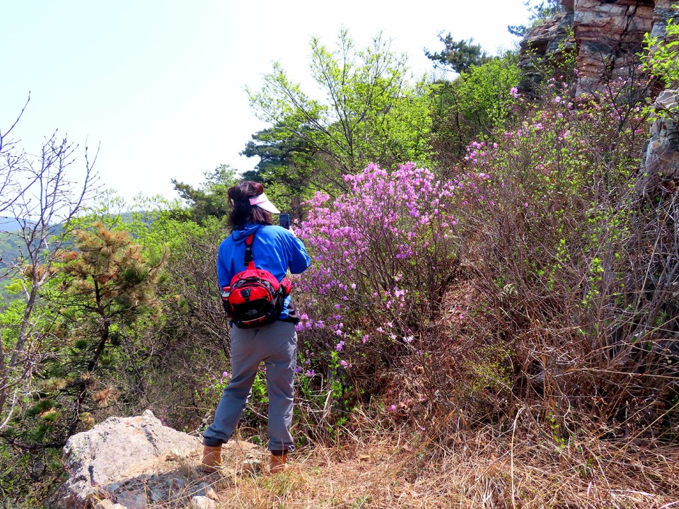 20220420112259_IMG_3527_edit_67585022281873