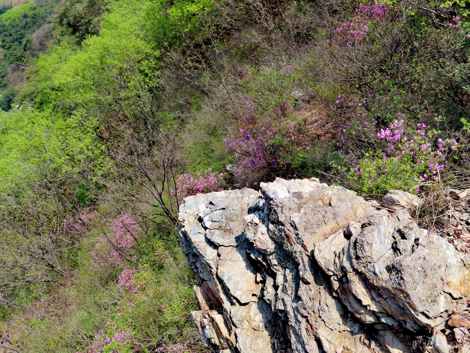 20220420112322_IMG_3528_edit_67603937294891