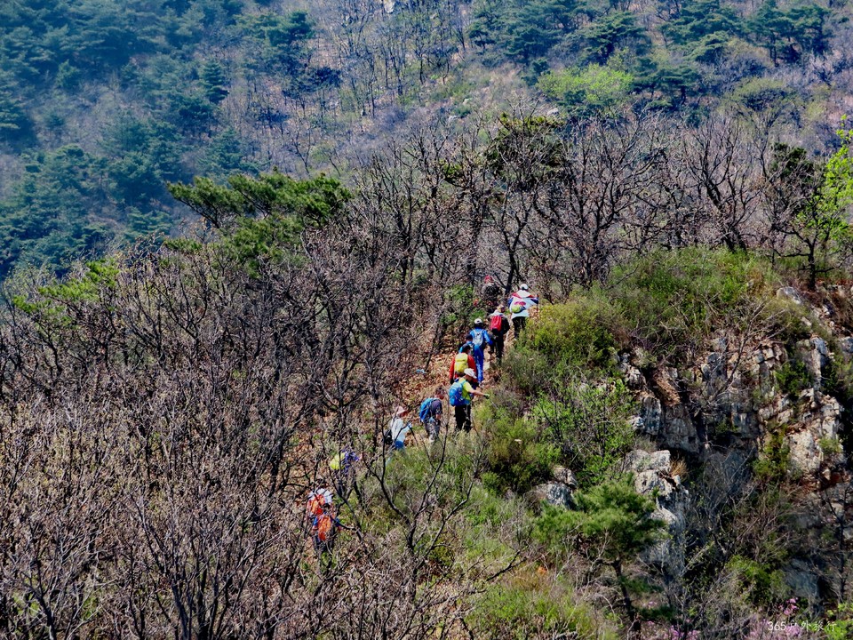 20220420112959_IMG_3529_edit_67621525626659