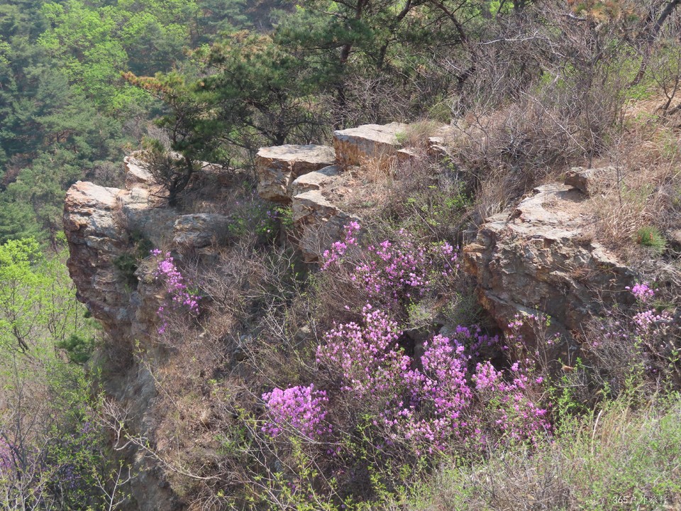 20220420113449_IMG_3531