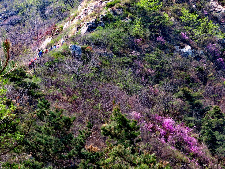 20220420113849_IMG_3532_edit_67679504450609